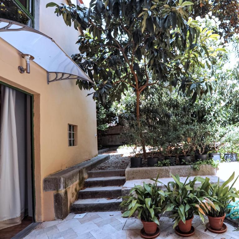 Acacia Firenze Apartments Artemisia-Angelica - Appartamento con Giardino - 8