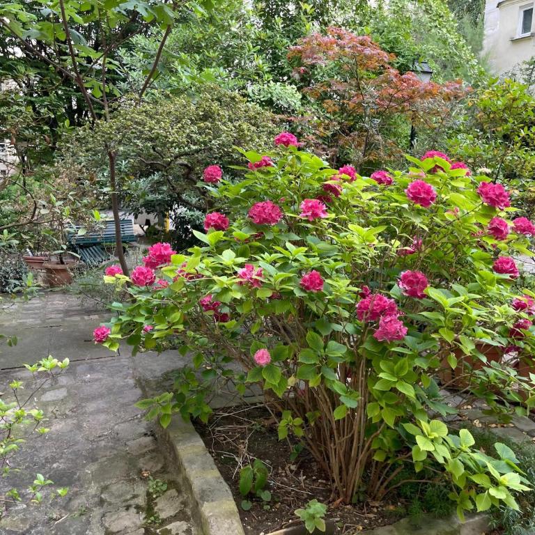 Lovely apartment near the Eiffel Tower - Appartement 3 Chambres - 22