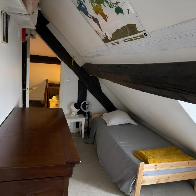 Lovely apartment near the Eiffel Tower - Appartement 3 Chambres - 10