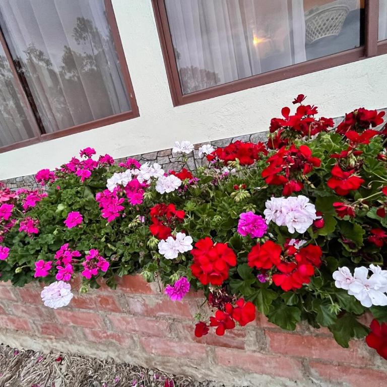 Cabaña entre montañas , Iza Boyaca laguna de tota - Casa de 2 dormitorios - 9