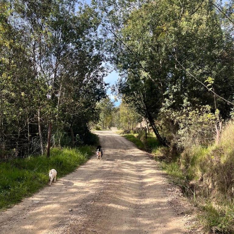 Cabaña entre montañas , Iza Boyaca laguna de tota - Casa de 2 dormitorios - 41