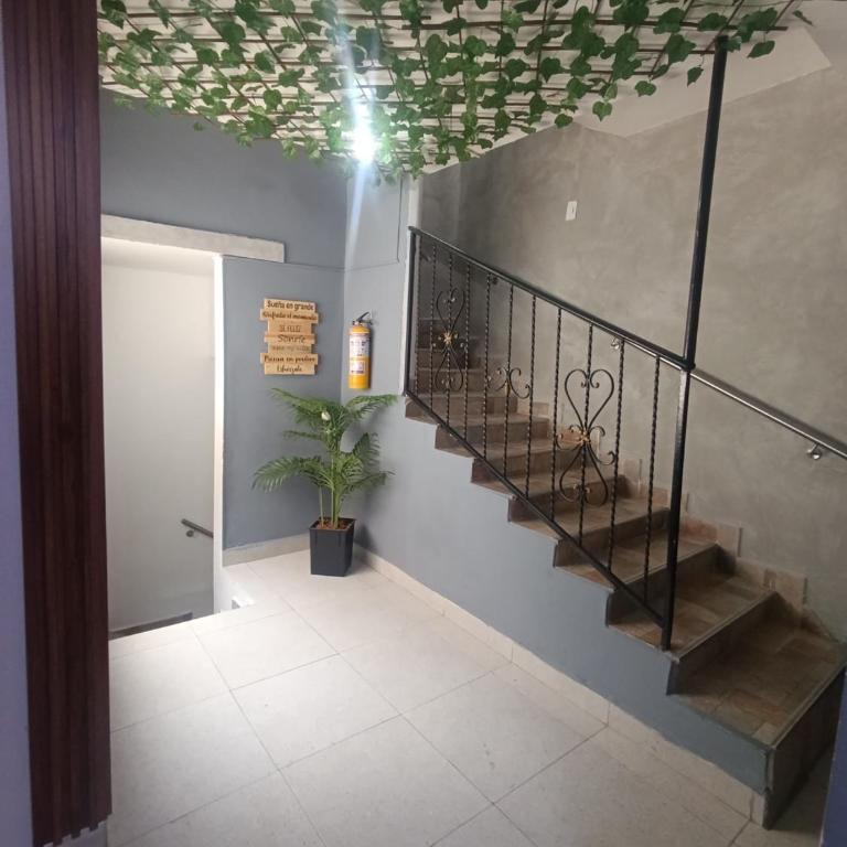 APARTAMENTO FAMILIAR 02 LAURELES ESTADiO - Two-Bedroom Apartment - 1