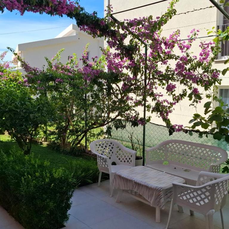 Apartments Milosevic - Standard Studio - 3