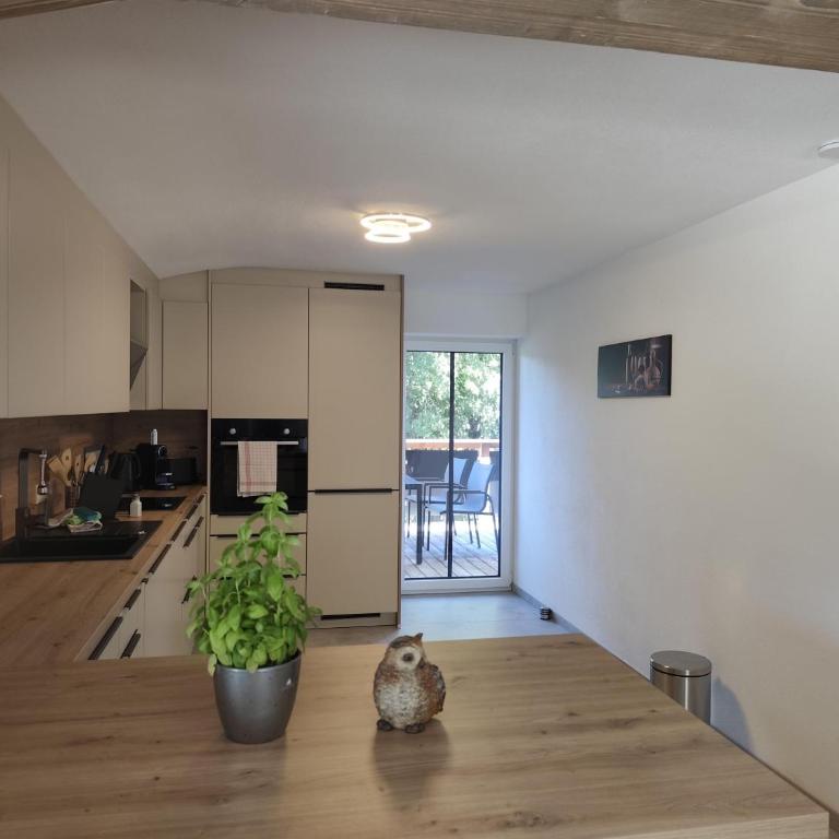 Haus Hüttenberger Sanja - Apartamento de 2 dormitorios con ducha - 33