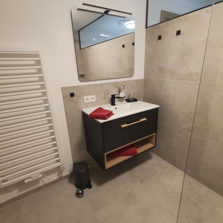 Haus Hüttenberger Sanja - Apartamento de 2 dormitorios con ducha - 36