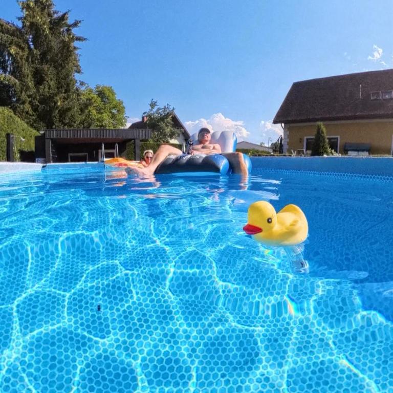 Lauras Ferienwohnung - Ihre Wohlfühloase in der Südweststeiermark mit Garten, Pool, Biotop & Weinbar - Apartment mit 2 Schlafzimmmern und eigenem Pool - 76