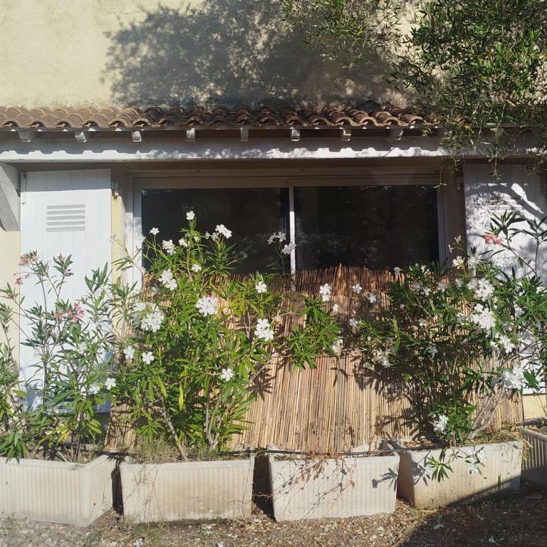 Studio 28m2 - Studio - 6
