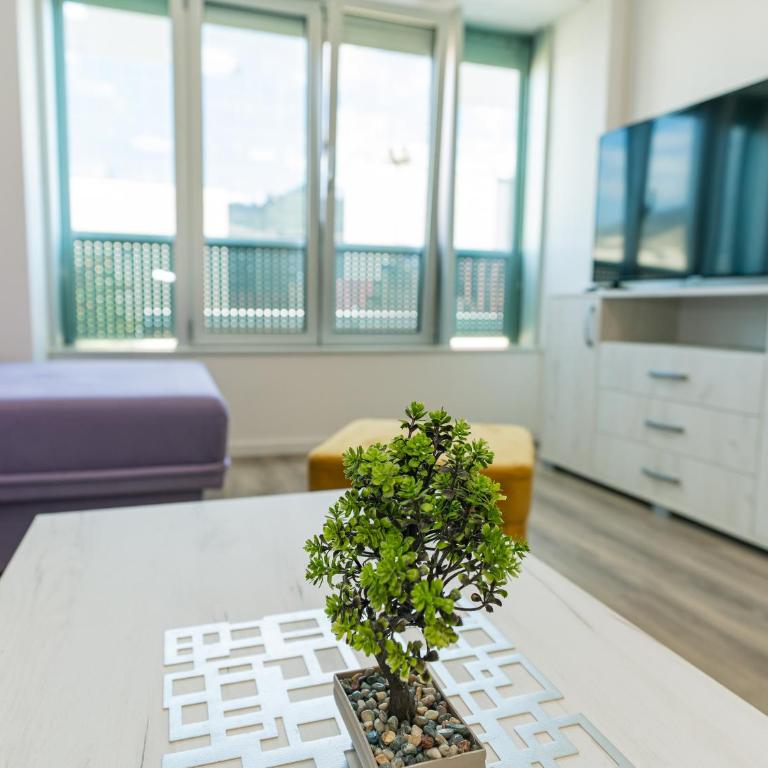 TORO Orca apartments - Studio - 23