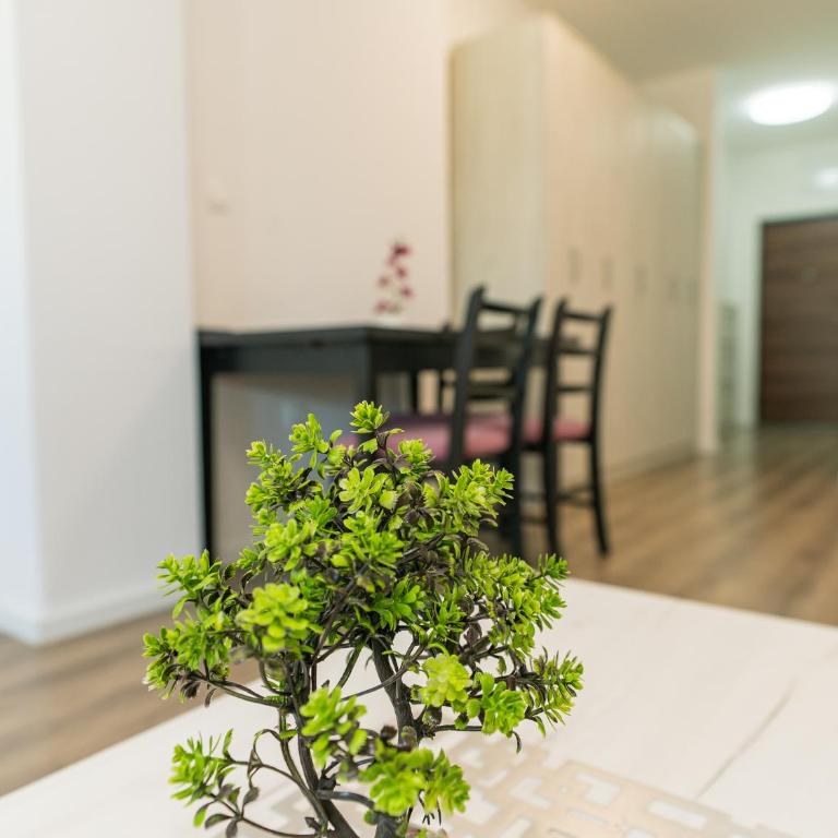 TORO Orca apartments - Studio - 22