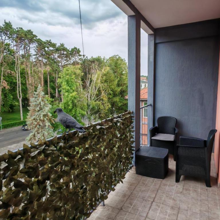 Koviljača park - Apartman sa 1 Spavaćom Sobom - 6