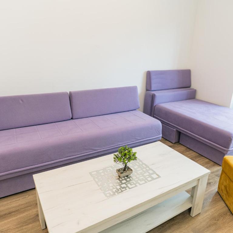 TORO Orca apartments - Studio - 1