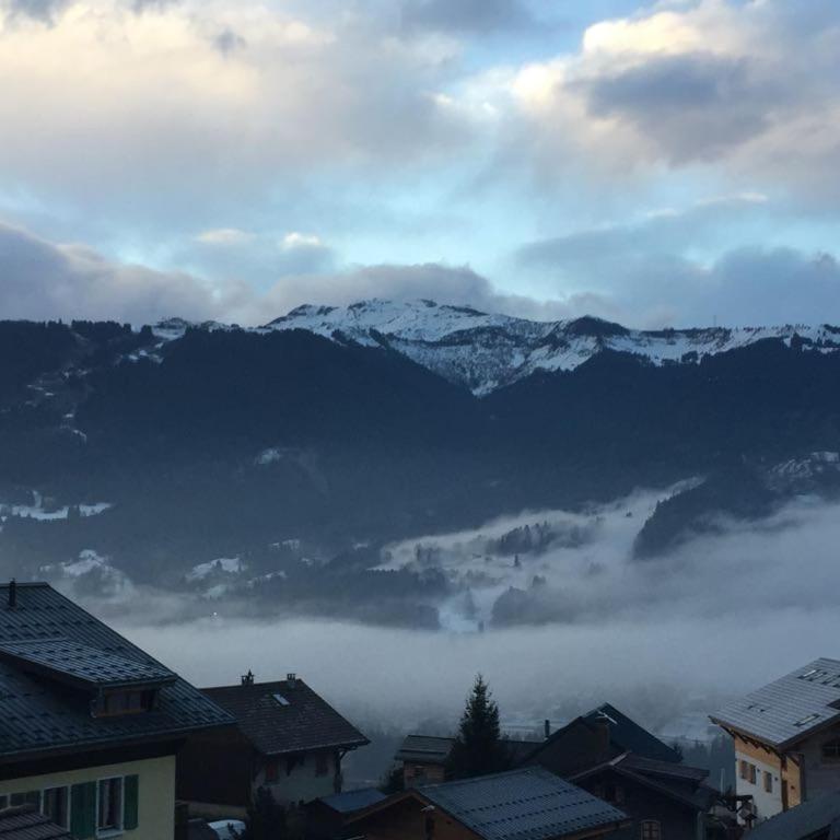 Comfortable Chalet with spectacular mountain views - Maison 3 Chambres - 33