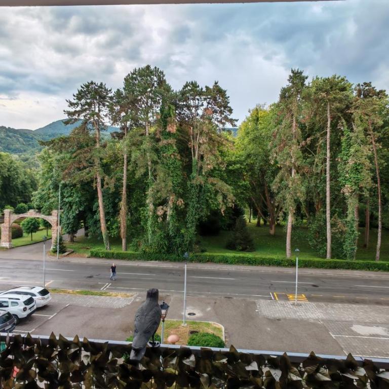 Koviljača park - Apartman sa 1 Spavaćom Sobom - 8