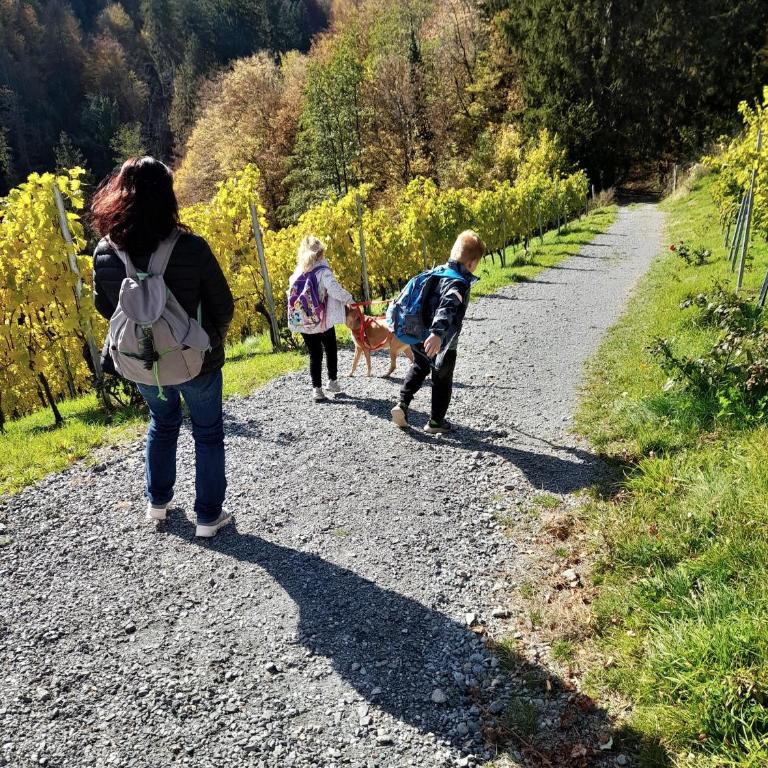 "Das Steirerhaus am Seggauberg" - Familien Ferienhaus mit zwei separaten Apartments - Haus mit 4 Schlafzimmern - 31