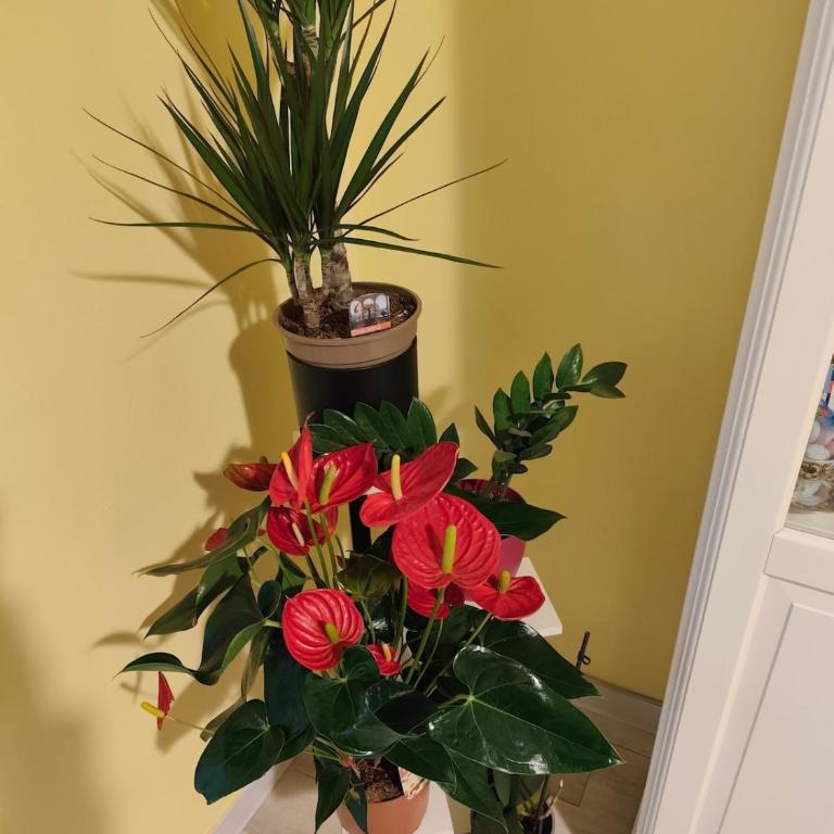 -The Magic of Rome- Semicentrale Roma Pigneto - Appartamento con 1 Camera da Letto - 20