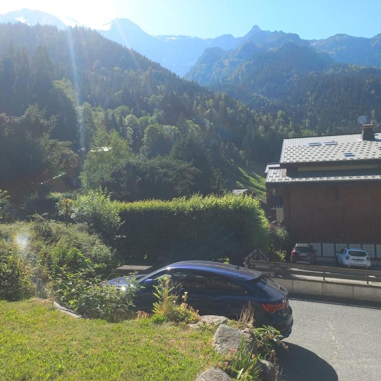 Cozy, village center, TMB Tour MontBlanc - Two-Bedroom Apartment - 10