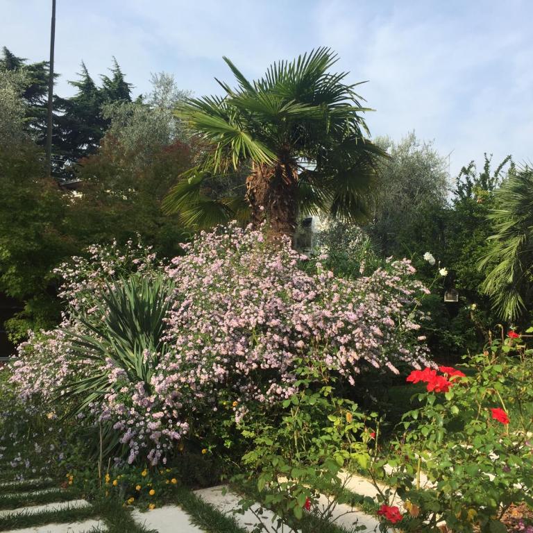 Villa Arzilla - Appartamento Deluxe - 25