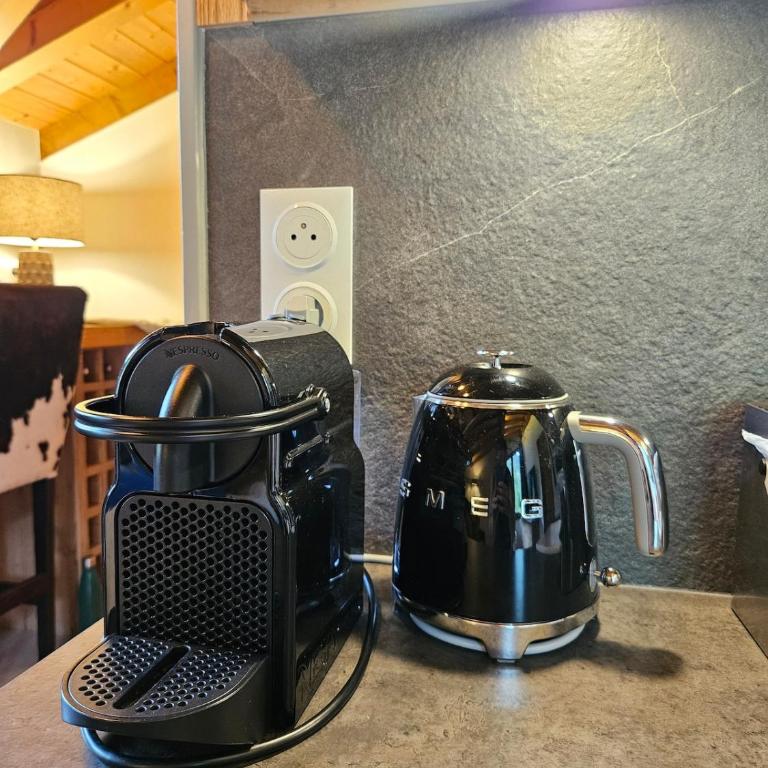 Refuge cocooning 2 personnes au cœur de Samoëns - Apartment mit 1 Schlafzimmer - 6