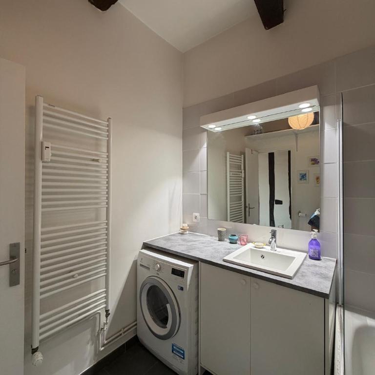 Charming Marais Place des Vosges - Appartement 1 Chambre - 26