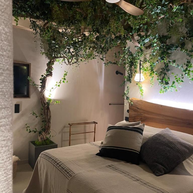 Gordes Maison Coco - Villa 2 Chambres - 79