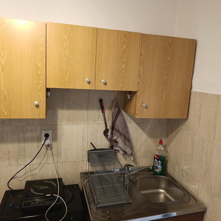 Apartman Milan - Apartman sa 1 Spavaćom Sobom - 20