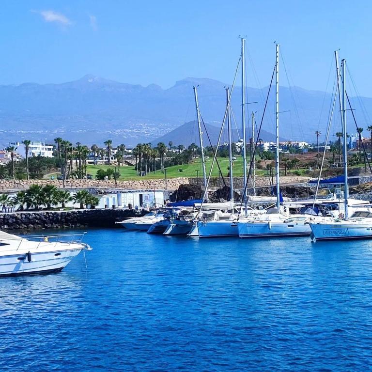 Beautiful 4 bedroom apartment with private jacuzzi - Four-Bedroom Luxury Apartment - 45