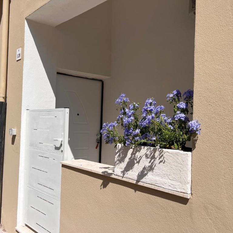 Alessandra guest house - Appartamento - 19