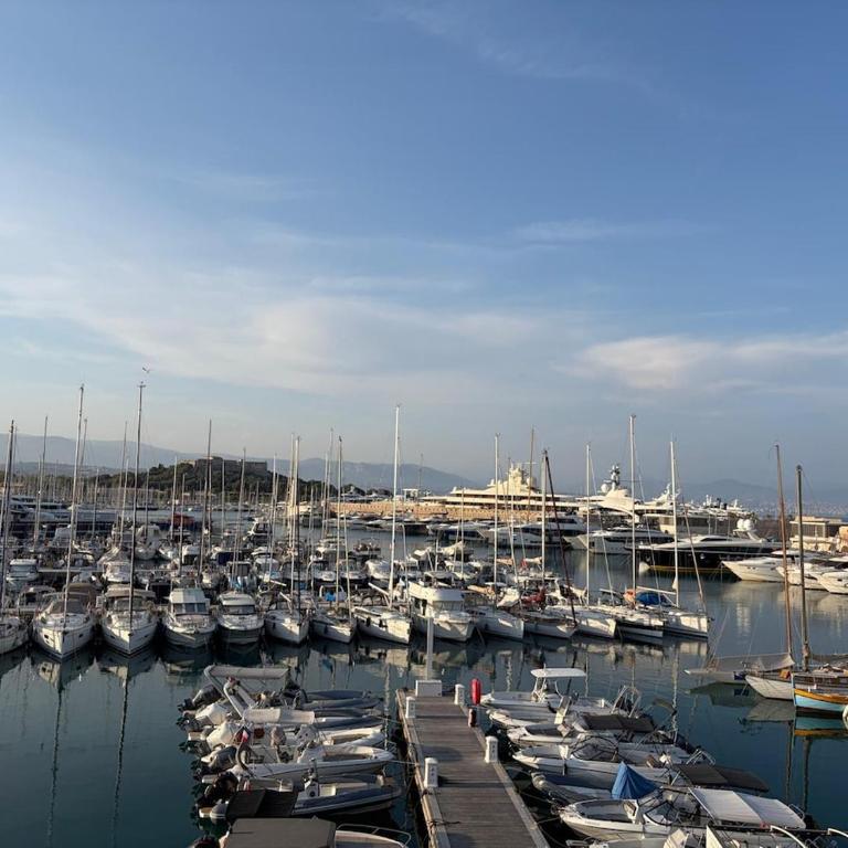 Les Beaux Jours du Vieil Antibes - Appartement 1 Chambre - 11
