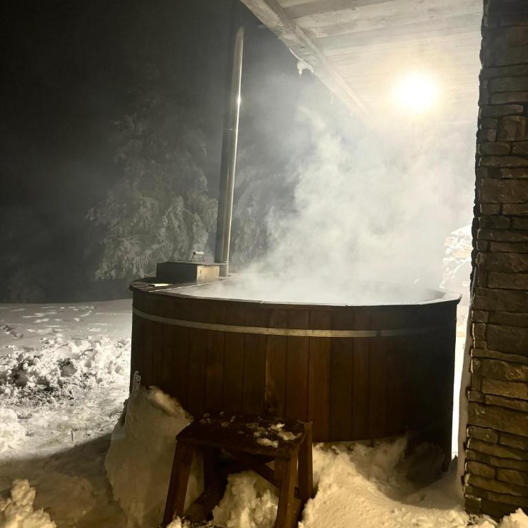 Chalet 1600 Kopaonik & Spa - Vila - 16