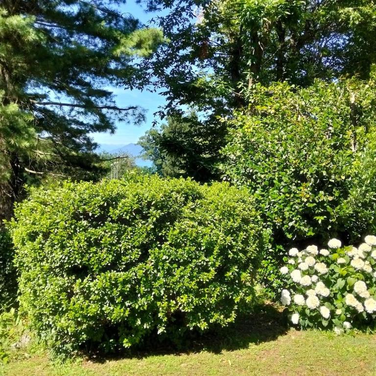 Appartamento la CAMELIA - scorci di Lago - Apartment mit Seeblick - 2