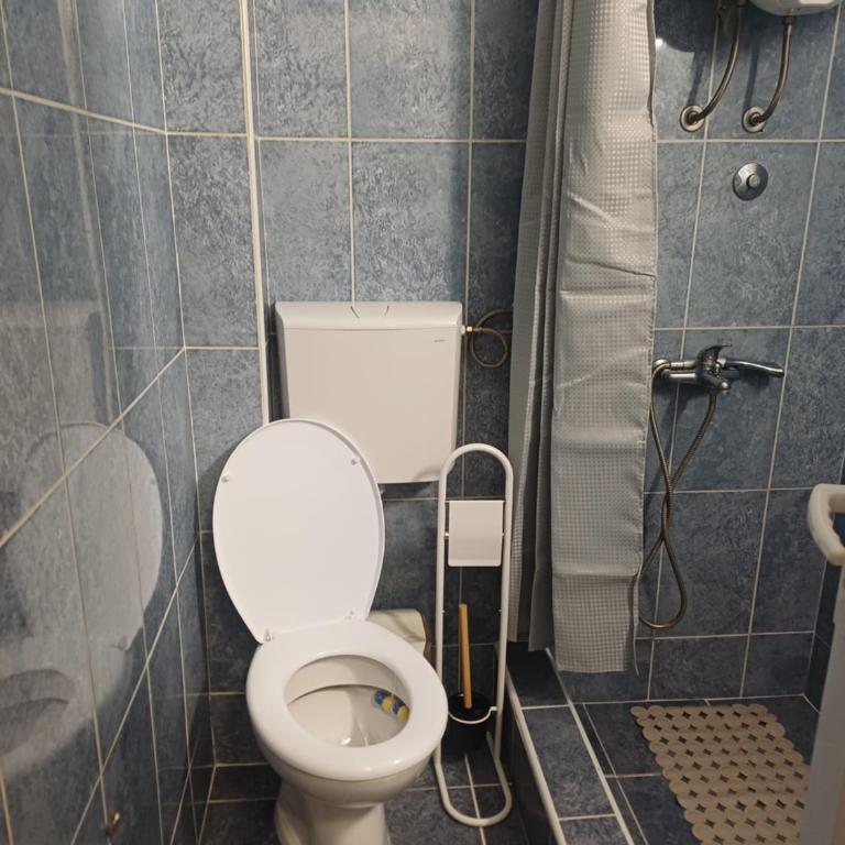 Apartmani Bogdana - Appartement 1 Chambre - 16