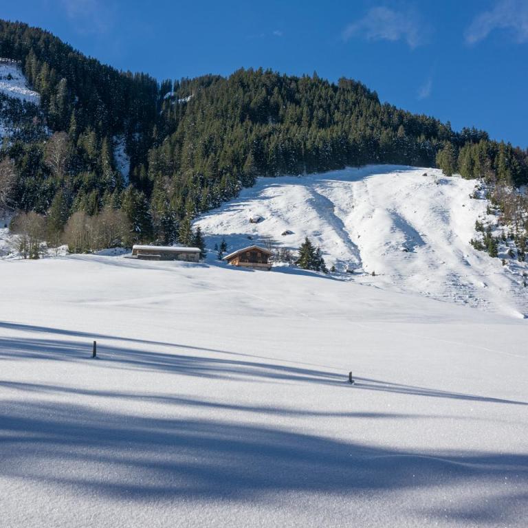 Chalet Ursteinhütte - Chalet - 9