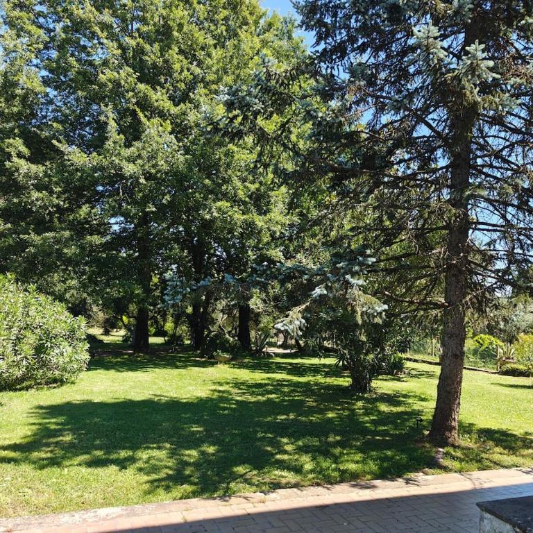 Charming Bracciano Home for a Peaceful Escape - Appartamento con 2 Camere da Letto - 23