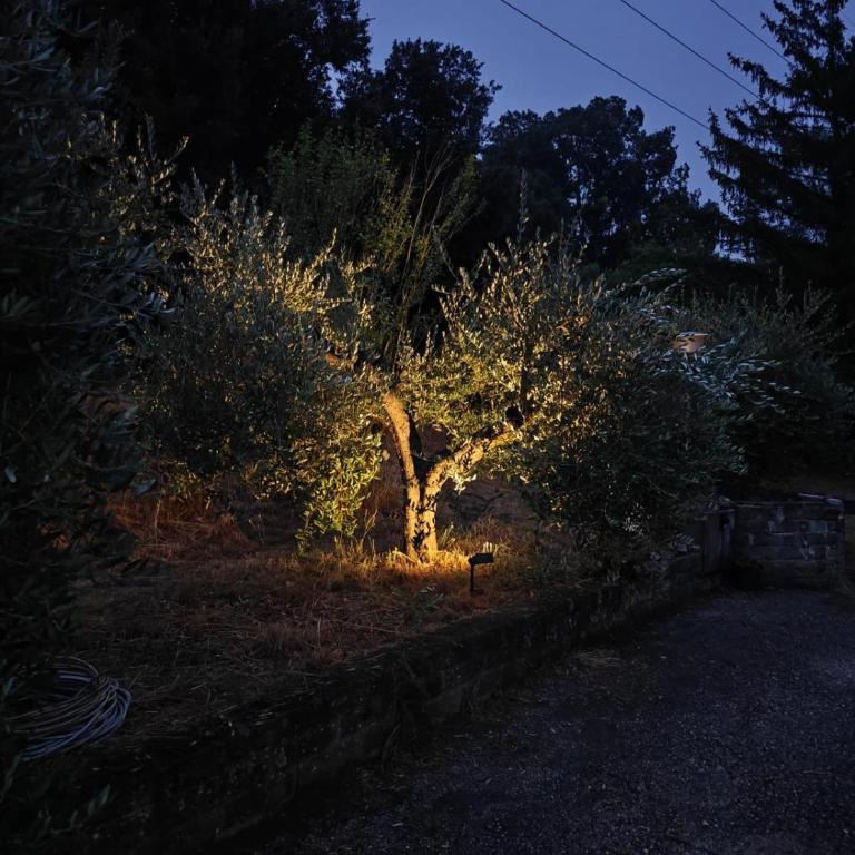 Charming Bracciano Home for a Peaceful Escape - Appartamento con 2 Camere da Letto - 25