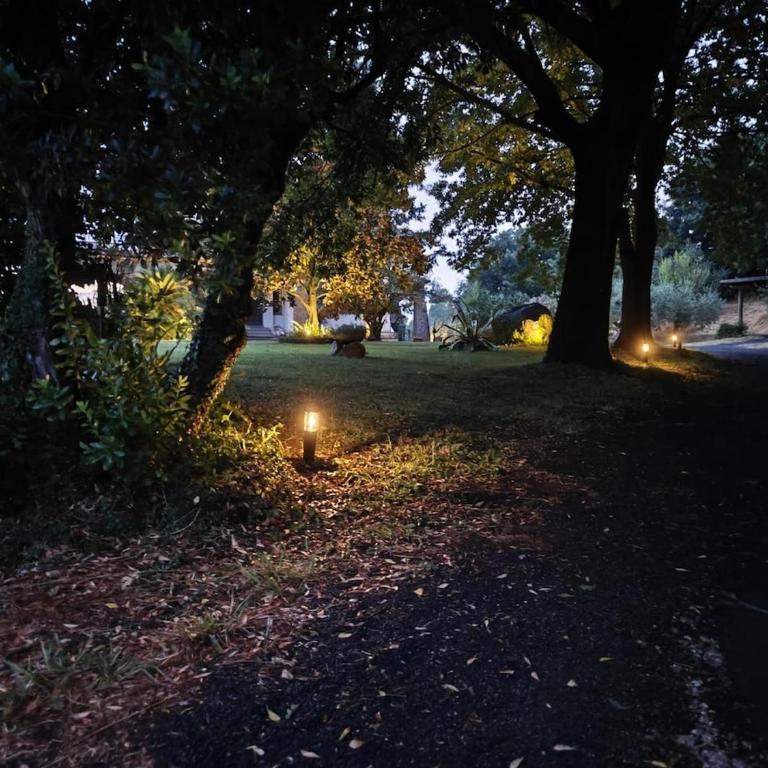 Charming Bracciano Home for a Peaceful Escape - Appartamento con 2 Camere da Letto - 27