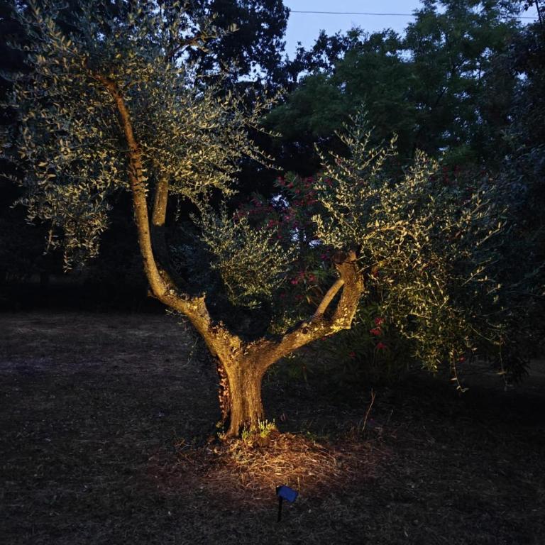 Charming Bracciano Home for a Peaceful Escape - Appartamento con 2 Camere da Letto - 29