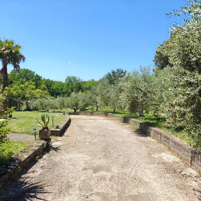Charming Bracciano Home for a Peaceful Escape - Appartamento con 2 Camere da Letto - 30