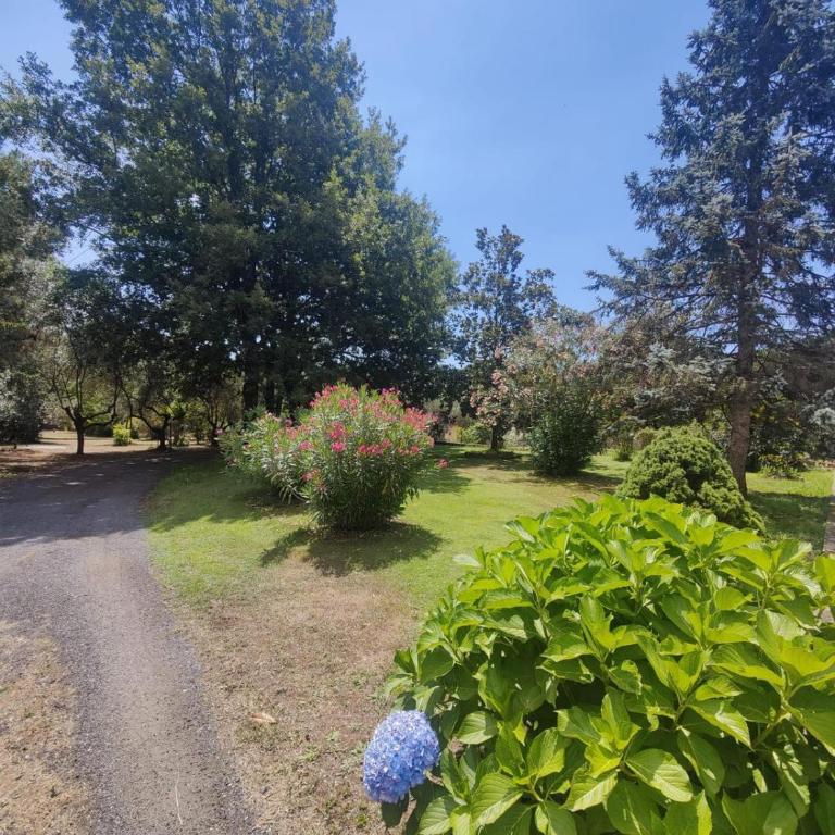 Charming Bracciano Home for a Peaceful Escape - Appartamento con 2 Camere da Letto - 36