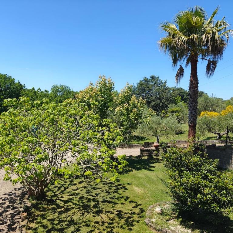 Charming Bracciano Home for a Peaceful Escape - Appartamento con 2 Camere da Letto - 41