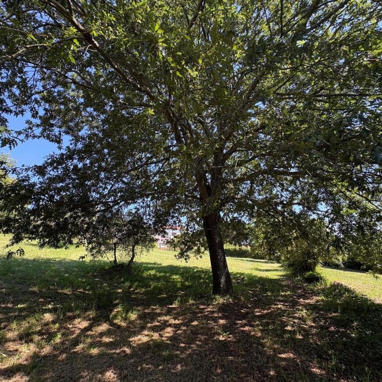 Charming Bracciano Home for a Peaceful Escape - Appartamento con 2 Camere da Letto - 33