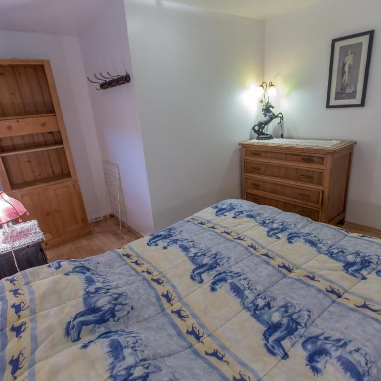 Particulier loue 2 appartements communicants dans chalet à Samoëns jusqu à 16 couchages - Apartment mit 2 Schlafzimmern - 5