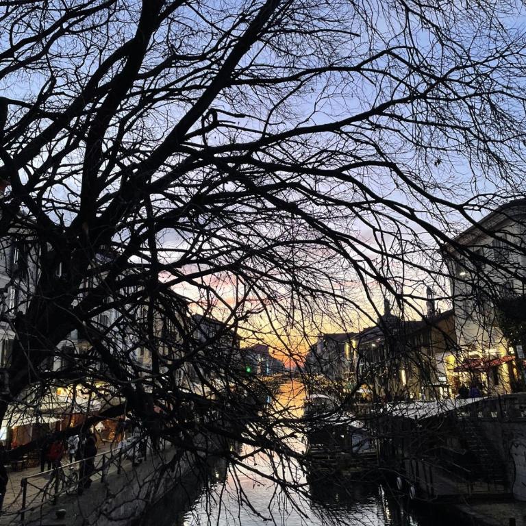 Navigli with Terrace - Appartamento con 1 Camera da Letto - 12