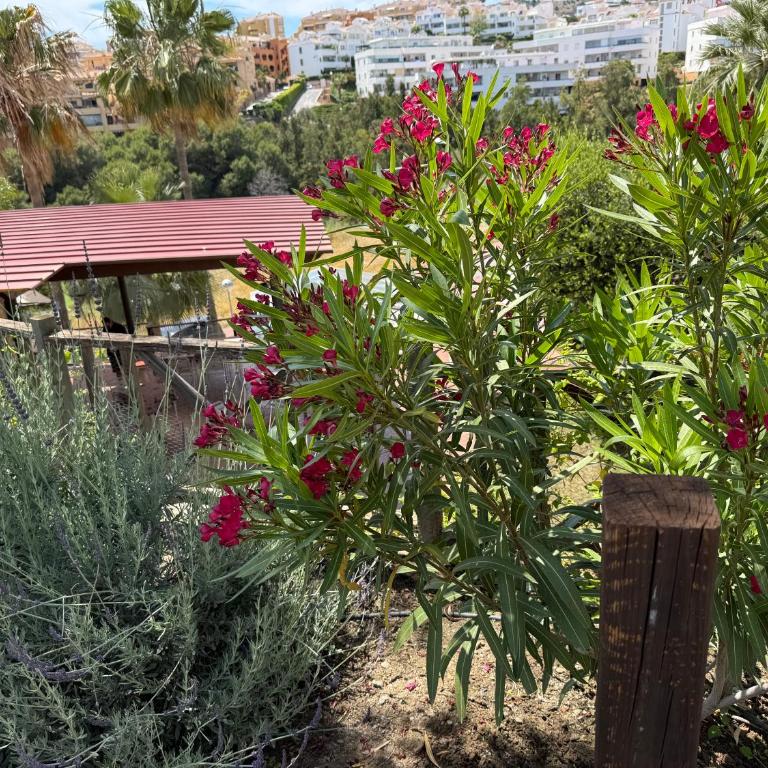 Isle de Riviera Golf - Appartement 2 Chambres - 58