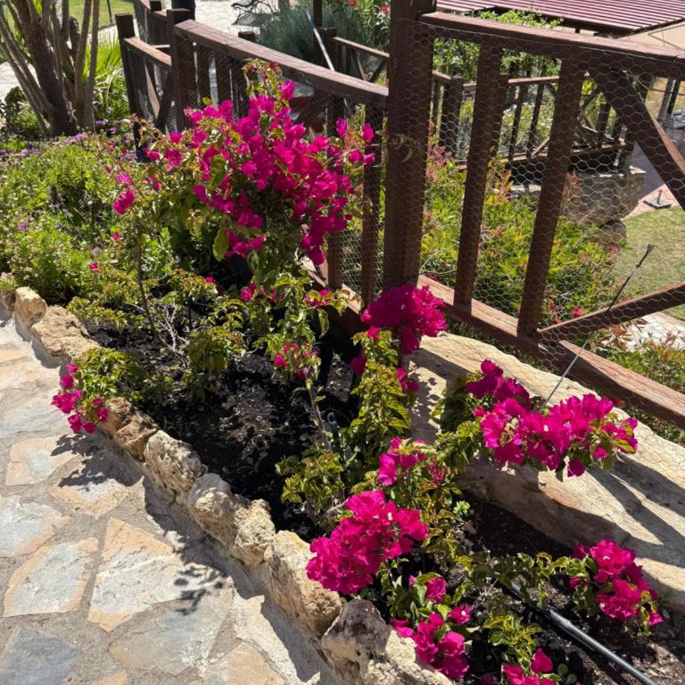 Isle de Riviera Golf - Appartement 2 Chambres - 60