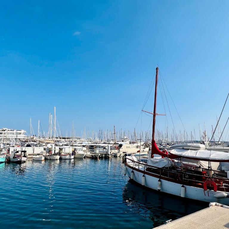LUXURY Cannes ,2P neuf climatisé, Terrasse exceptionnelle ,parking, croisette - Appartement 1 Chambre avec Terrasse - 24