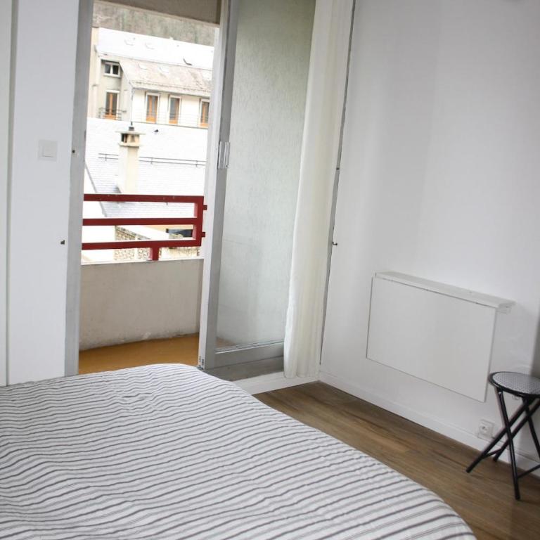 Appartement plein centre 40m2 2 balcons - Appartement - 9