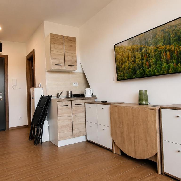 Apartman Krčmarica 20 LUX , Borovi 3 - One-Bedroom Apartment - 10
