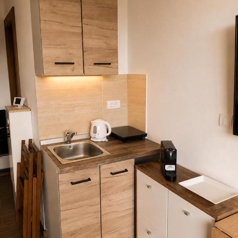 Apartman Krčmarica 20 LUX , Borovi 3 - One-Bedroom Apartment - 9