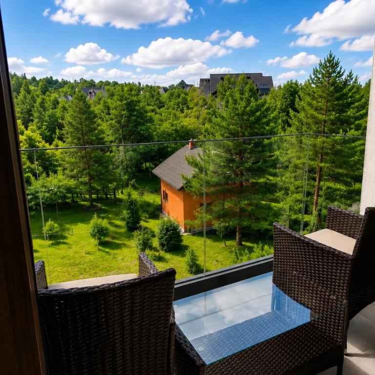 Apartman Krčmarica 20 LUX , Borovi 3 - One-Bedroom Apartment - 6