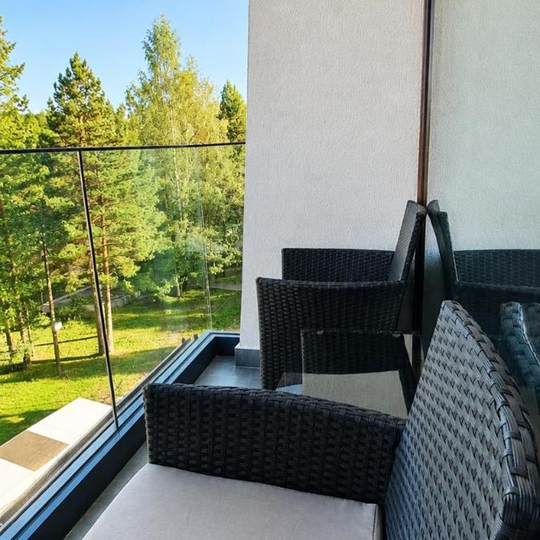 Apartman Krčmarica 20 LUX , Borovi 3 - One-Bedroom Apartment - 5